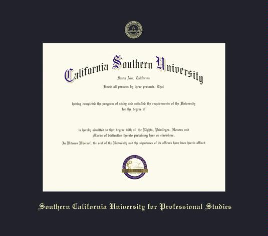 california southern university