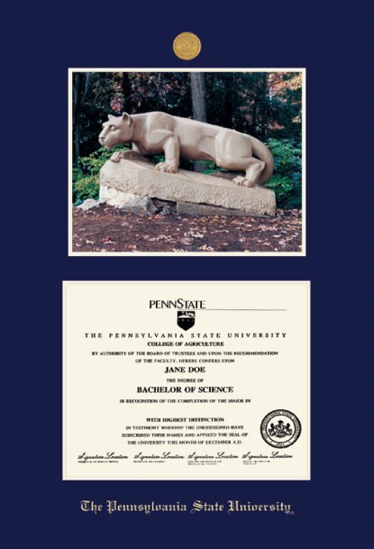 Custom Diploma Frames Certificate Framing Success