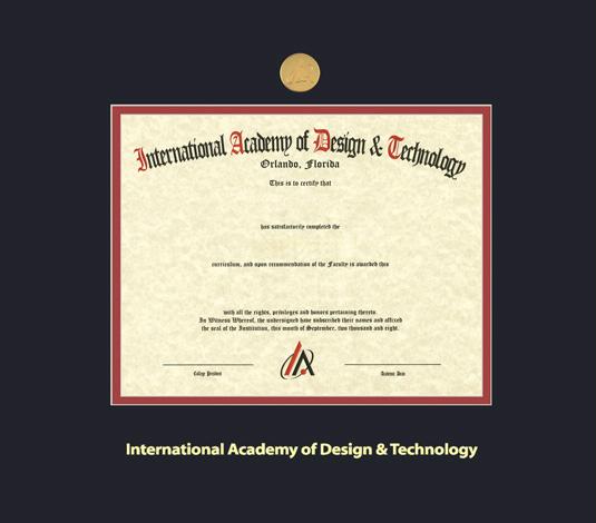 Custom Diploma Frames & Certificate Frames - Framing Success: Int'l ...