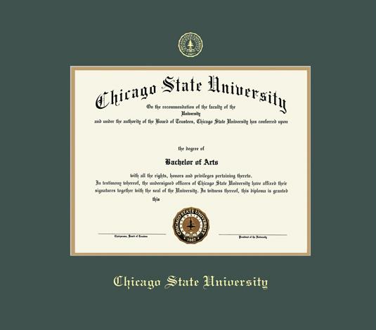 diploma frame 13 17 x Diploma  & Certificate Frames Framing  Frames Custom