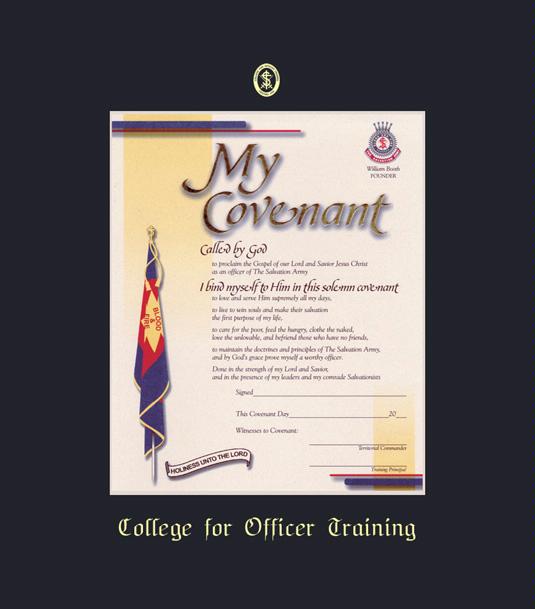 Custom Diploma Frames & Certificate Frames Framing Success The