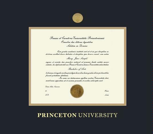 Princeton University Online Certificate