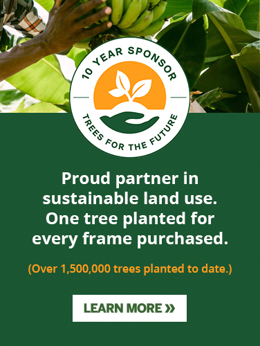 Trees for the future