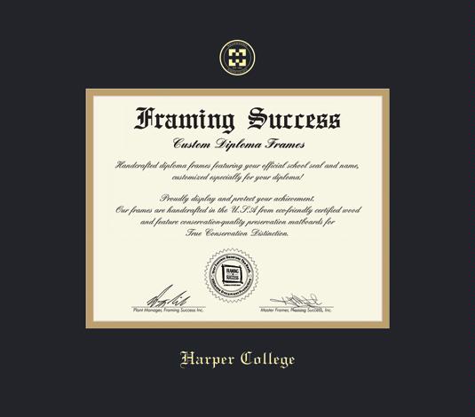 Custom Diploma Frames &amp; Certificate Frames - Framing Success 