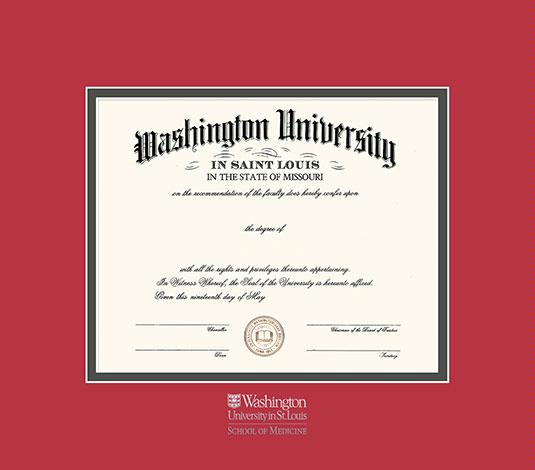 Custom Diploma Frames & Certificate Frames - Framing Success ...