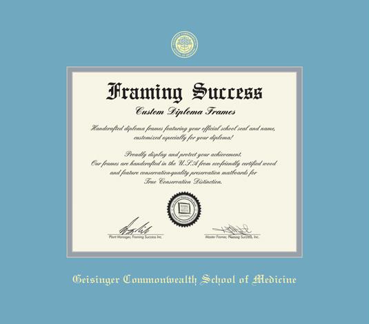 custom-diploma-frames-certificate-frames-framing-success-geisinger