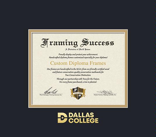 College Diploma outlet Frame